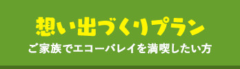 思い出づくりプラン